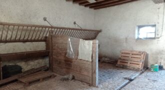 GRANGE (VI061-XRIMMO)